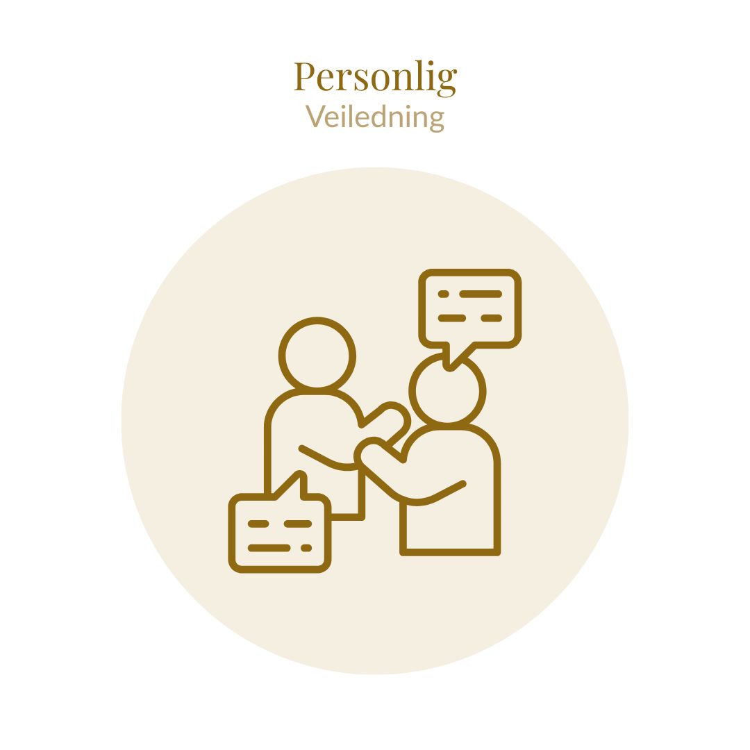 personlig veiledning