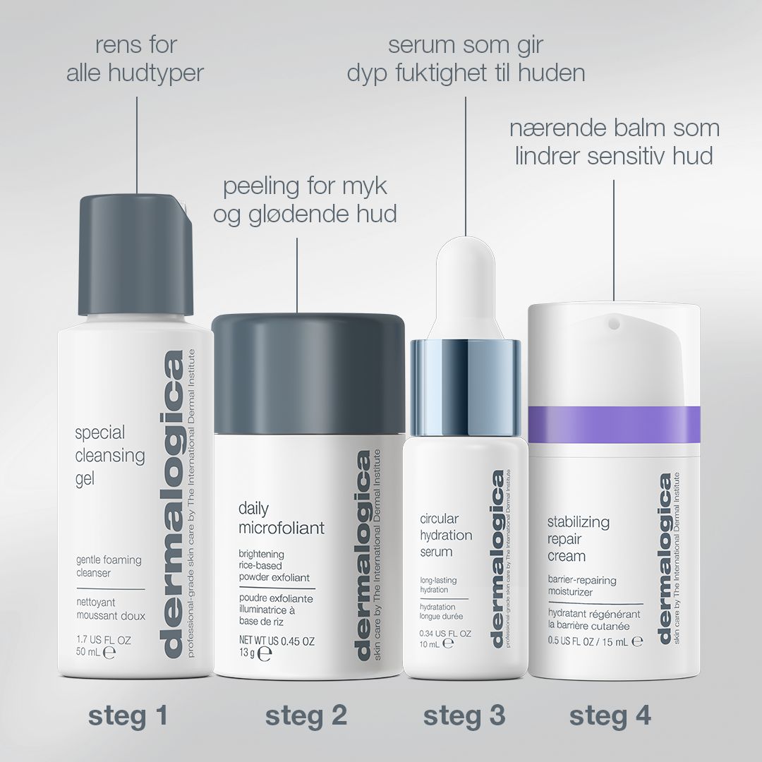 Dermalogica Home For The Holidays Kit - www.Hudonline.no 