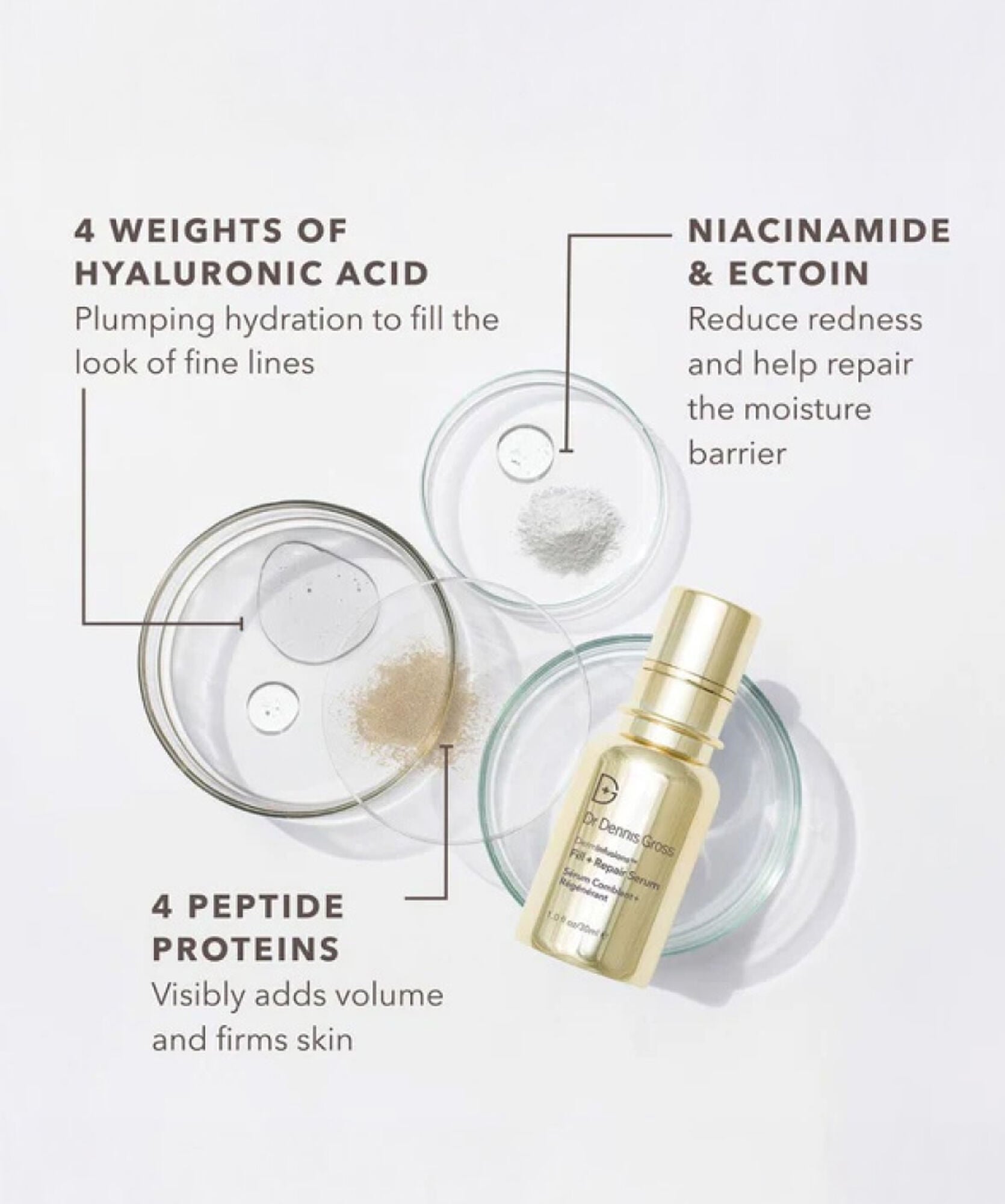 Dr Dennis Gross DermInfusions Daily Repair Routine Sett - www.Hudonline.no