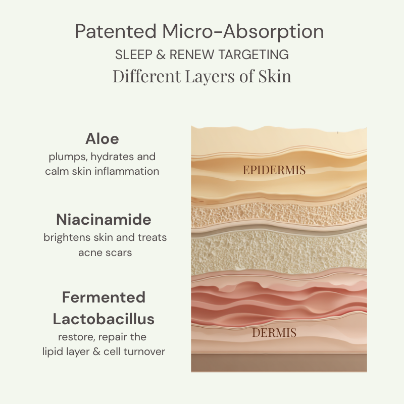 Emani Sleep & Renew Serum ingredienser - www.Hudonline.no