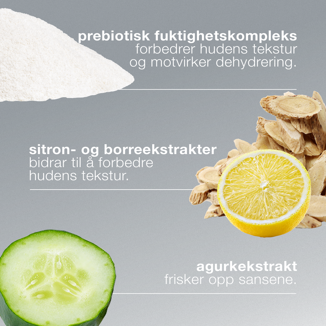 Nøkkelingredienser i Active Moist: prebiotisk fuktighetskompleks, sitron, borrerot og agurk