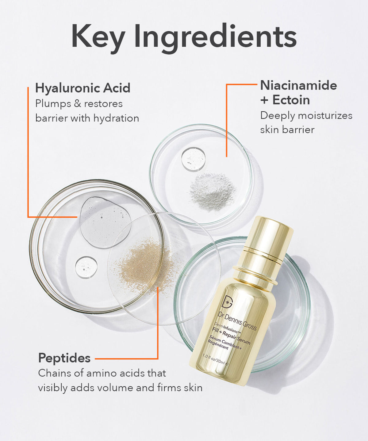 Dr Dennis Gross DermInfusions Fill + Repair Serum - www.Hudonline.no