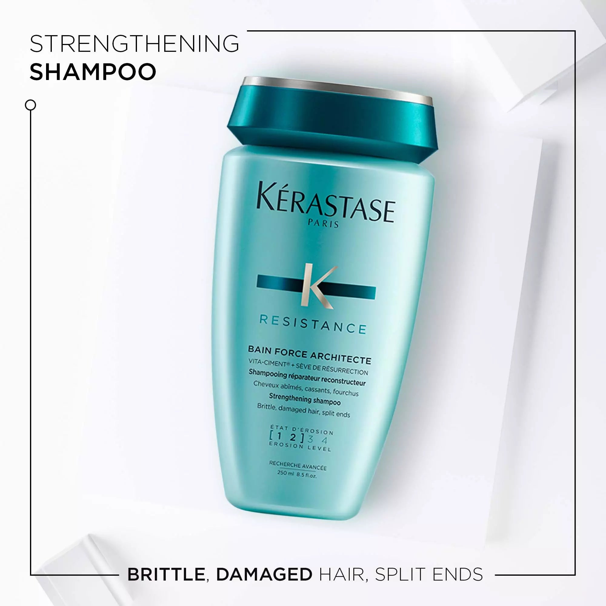 Resistance Bain Force Architecte shampoo 250ML - www.Hudonline.no 