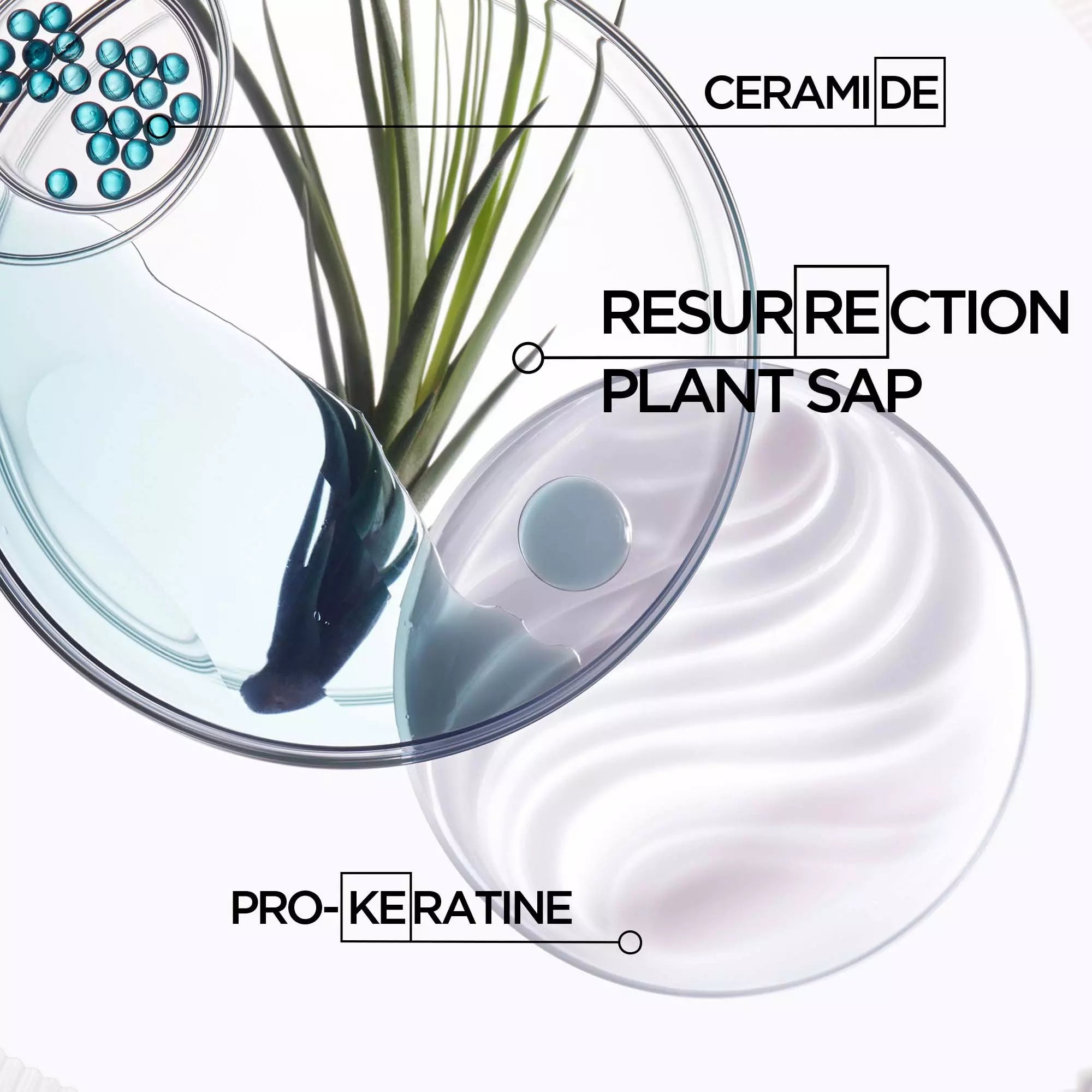 Resistance Fondant Extentioniste conditioner 200ML - www.Hudonline.no 